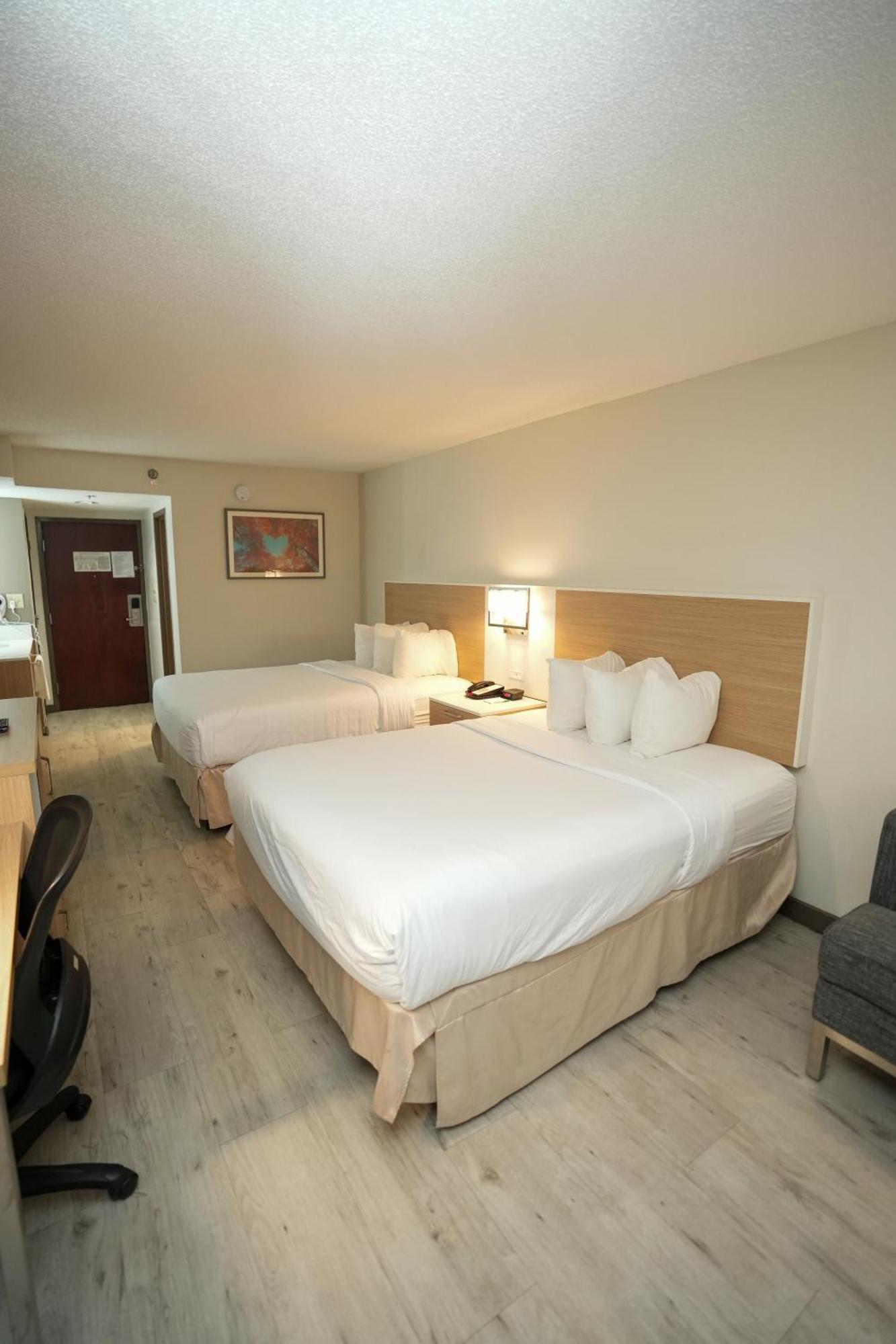 Wyndham Garden Duluth Hotel Kültér fotó